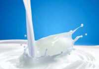 image معرفی خوراکی های جایگزین شیر در رژیم غذایی سلامت