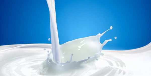 image معرفی خوراکی های جایگزین شیر در رژیم غذایی سلامت