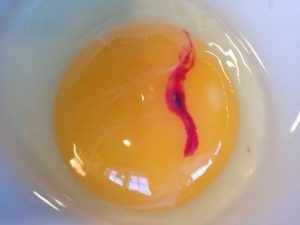 image آیا خوردن تخم مرغی که در آن خون باشد حلال است