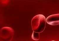 image چطور متوجه شوید کم خونی دارید یا نه و انواع آن