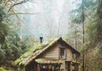 image عکس یک کلبه آرامش بخش در دل جنگل