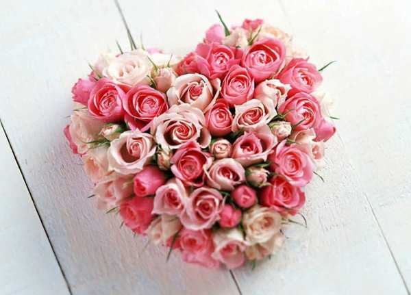 image عکس های زیبا از گل رز برای عکس پروفایل تلگرام