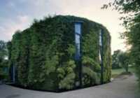 image تصاویر زیبا از خانه ای زیبا با نمایی از گل و گیاه طبیعی