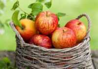 image تاثیر مصرف سیب و آب سیب بر روی سلامتی و زیبایی