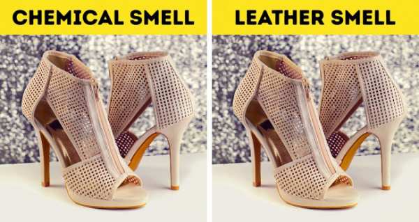 image چطور بفهمید کیف و کفش چرم واقعی هستند یا تقلبی