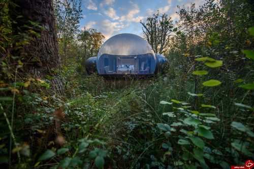 image عکس و توضیحات خواندنی از هتل های حبابی جنگل های ایرلند