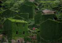 image روستایی زیبا پوشیده از گیاهان در استان چیانگ چین