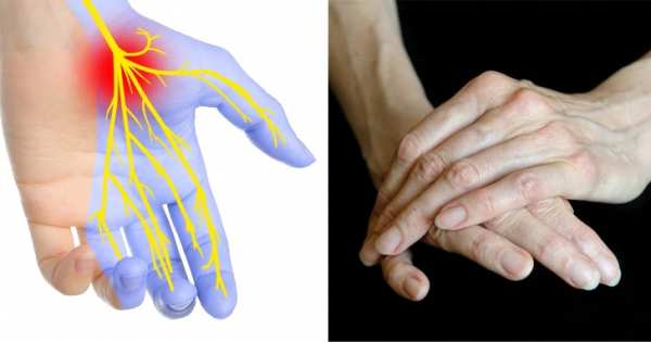 image از روی دست های خود تشخیص دهید چقدر سلامت هستید