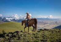 image تک سواری بر اسب در پارک ملی یلو استون آمریکا