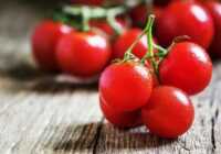 image خواص جادویی خوردن گوجه فرنگی برای سلامتی