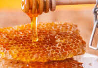 image موم زنبور عسل چه فوایدی برای سلامتی دارد