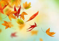 image شعرهای زیبای پاییزی برای کسی که دوستش دارید