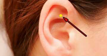 image آموزش تصویری ماساژ گوش برای درمان سردرد و خستگی